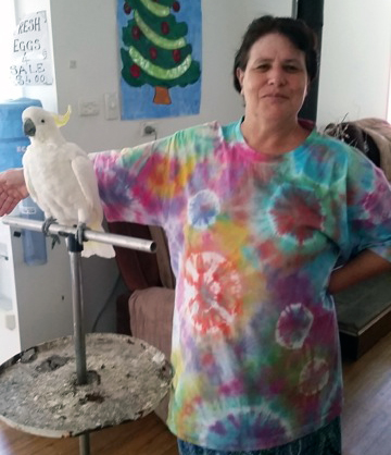 Magic Starfish, making Tie dye accessible for the disabled